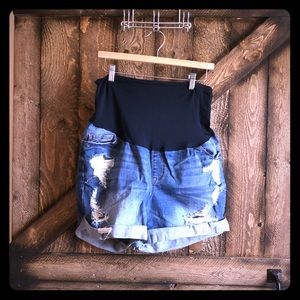Maternity Shorts